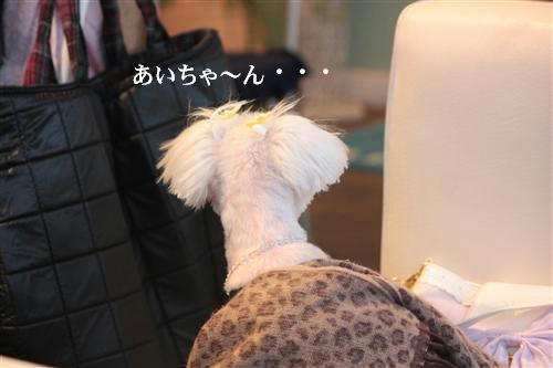 IMG_4905_RR.jpg