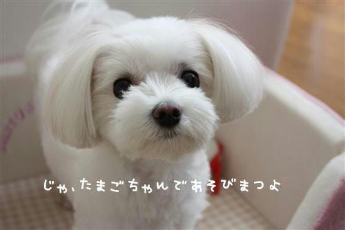 IMG_3714_RR.jpg