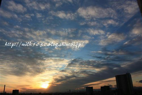IMG_5223_RR.jpg