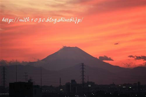 IMG_5231_RR.jpg