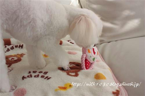 IMG_5390_RR.jpg