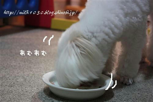 IMG_5667_RR.jpg