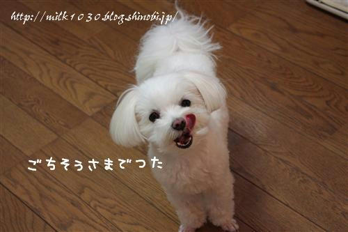IMG_5680_RR.jpg