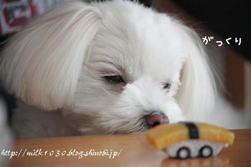 IMG_5464_RR.jpg