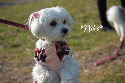 IMG_5747_RR.jpg