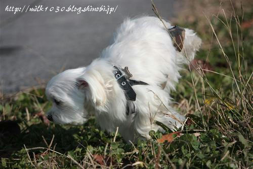 IMG_5746_RR.jpg