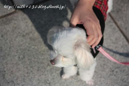 IMG_5780_RR.jpg
