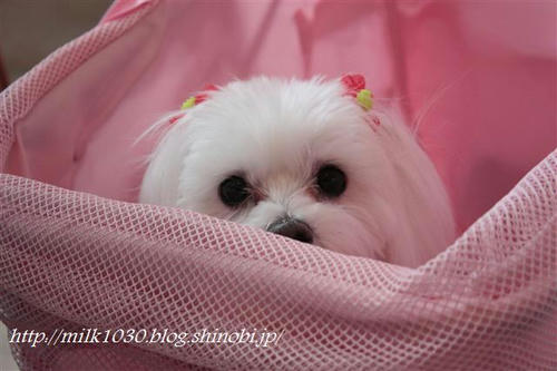 IMG_5829_R.jpg