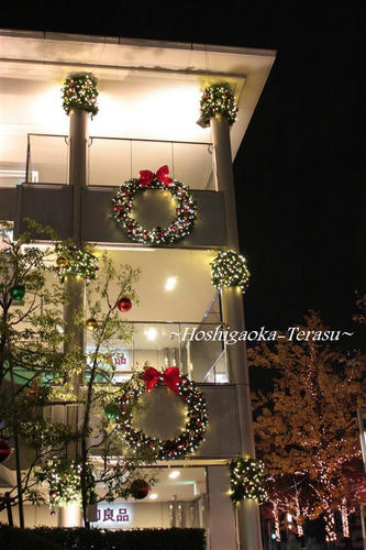 IMG_6012_R.jpg