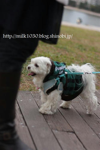 IMG_7458_R.jpg
