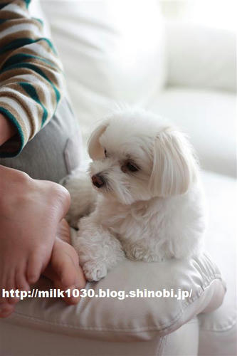 IMG_8425_R.jpg