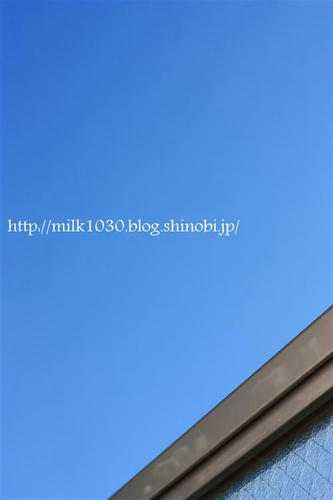 IMG_8598_R.jpg