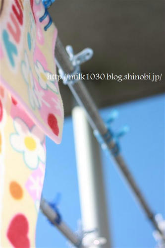 IMG_8611_R.jpg