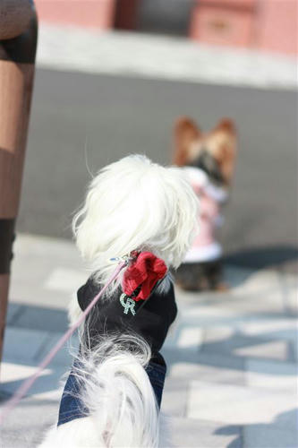 IMG_8745_R.jpg