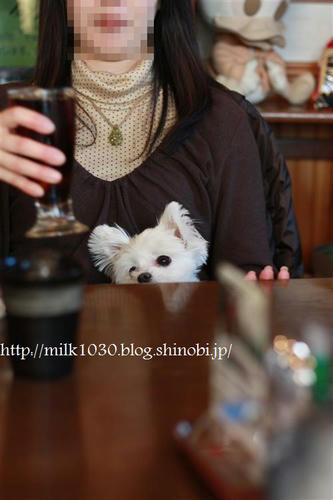 IMG_8985_R.jpg