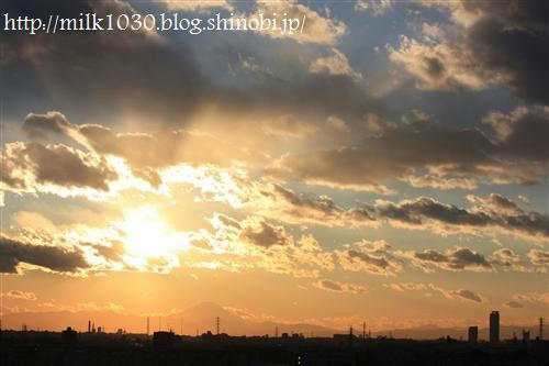 IMG_9009_R.jpg