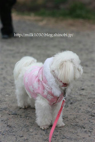 IMG_9169_R.jpg