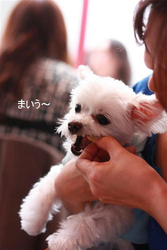 IMG_9352_R.jpg