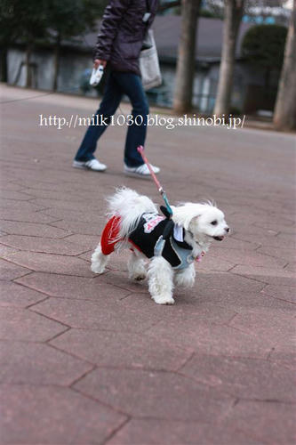 IMG_9514_R.jpg