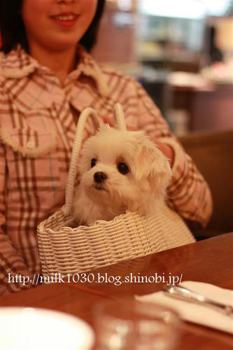 IMG_9627_R.jpg