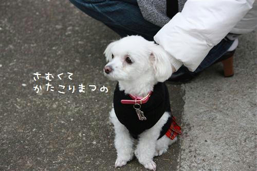 IMG_9693_R.jpg