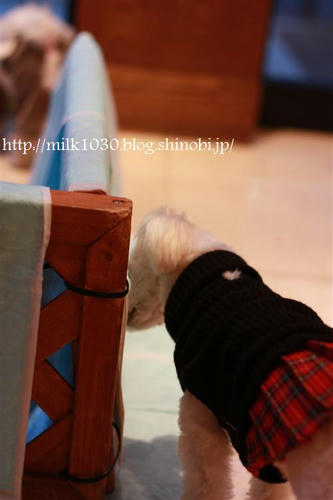 IMG_9840_R.jpg