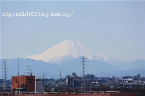 IMG_0294_R.jpg