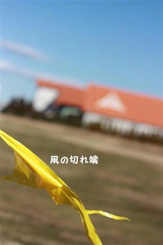 IMG_0380_R.jpg