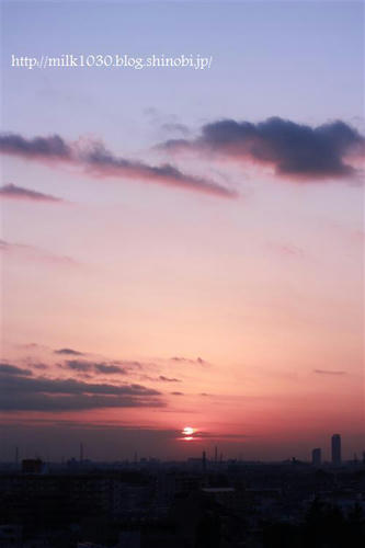 IMG_0417_R.jpg