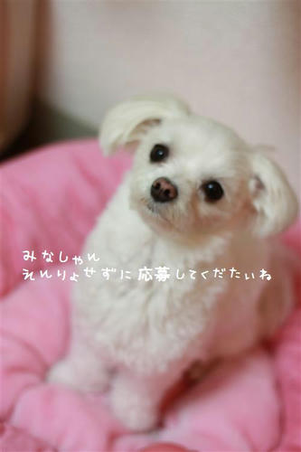 IMG_0744_R.jpg