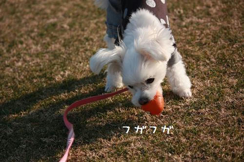 0aa75148.jpg