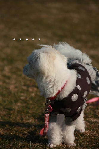 IMG_0829_R.jpg
