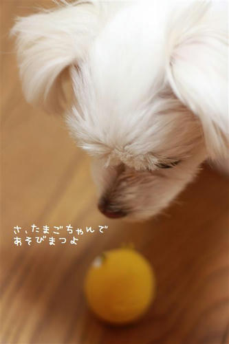 IMG_1075_R.jpg