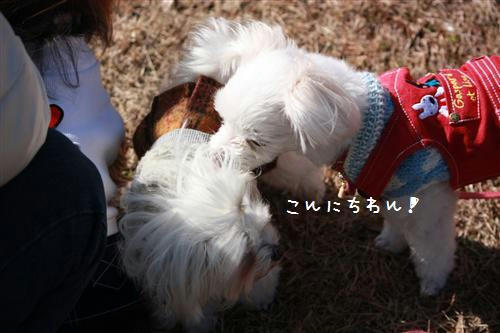 IMG_1113_R.jpg