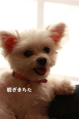 IMG_1189_R.jpg