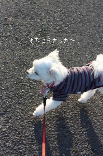 IMG_1314_R.jpg