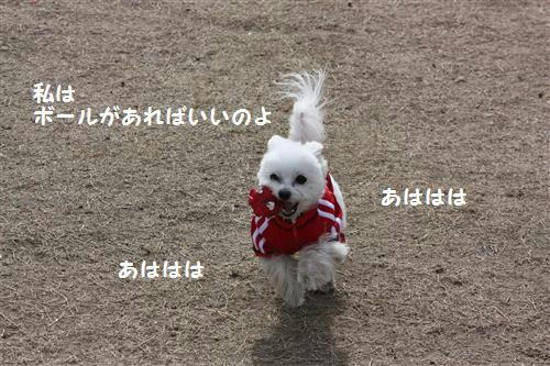 f3a41534.jpg