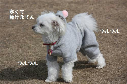 693368c0.jpg