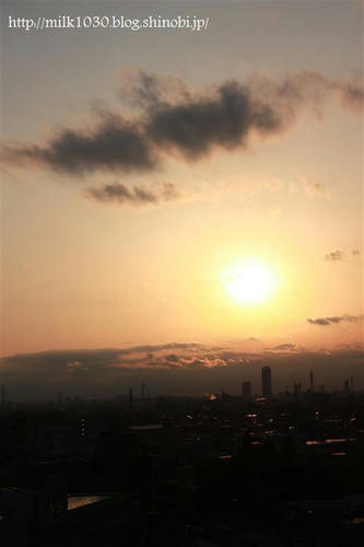 IMG_1822_R.jpg