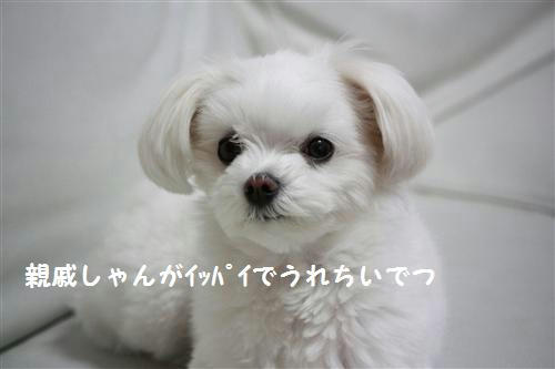 IMG_2468_R.jpg