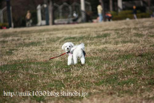 IMG_3767_R.jpg