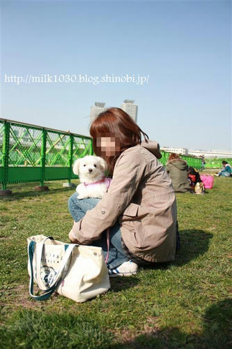 IMG_4413_R.jpg