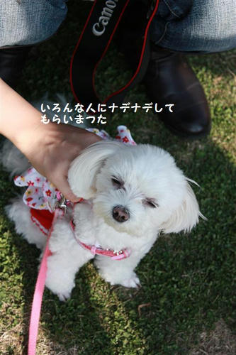IMG_5690_R.jpg
