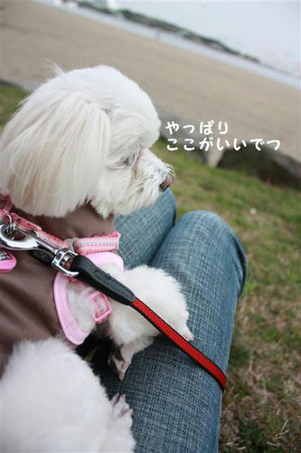 IMG_6001_R.jpg