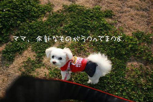 IMG_6137_R.jpg