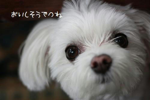 IMG_6708_R.jpg