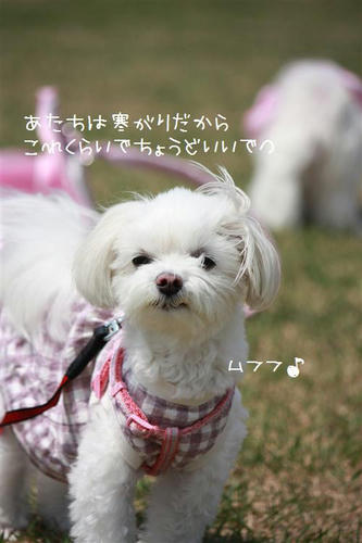 IMG_6784_R.jpg