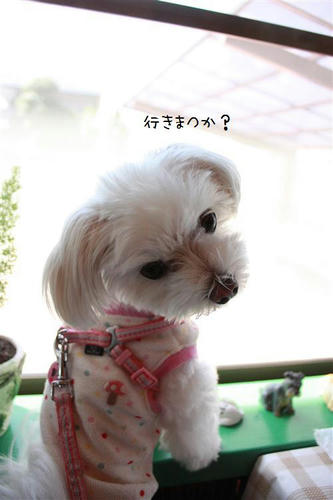 IMG_7391_R.jpg