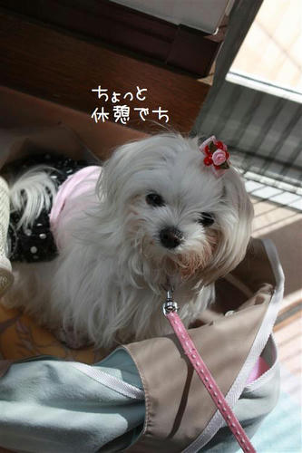 IMG_7718_R.jpg