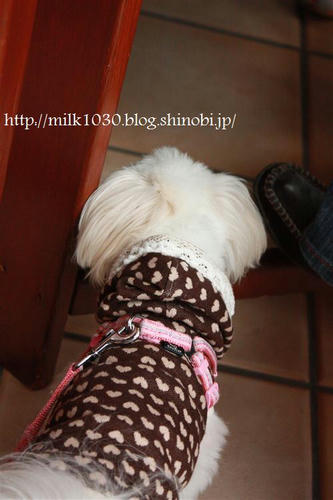IMG_7747_R.jpg